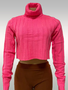 UC TurtleNeck CROP