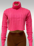 UC TurtleNeck CROP